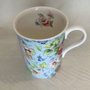 Crown Trent China Limited 10 Ounce Cup Tea Coffee Fine Bone China 4 Inches Tall